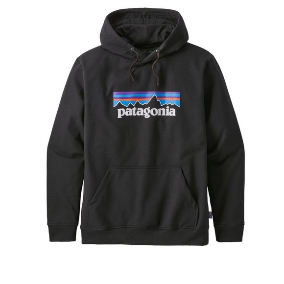 COPY - Patagonia hoodie - Picture 1 of 1